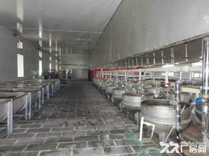 滄縣優質廠房與場地出租，助力食品加工與家具紙箱企業騰飛